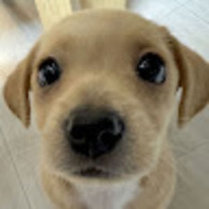 Meet your Posher, Patricia